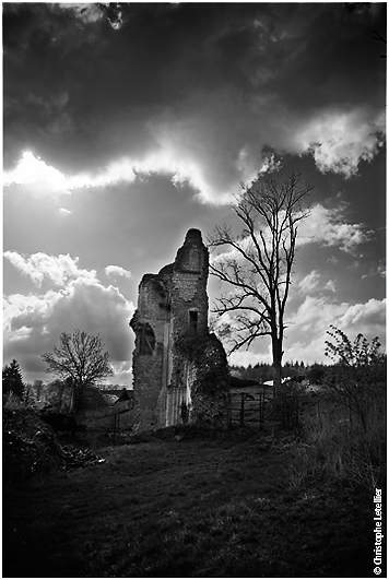 Ruines de l'abbaye cistercienne de Mortemer, au coeur de la fort domaniale de Lyons, proche de Lisors. Abbaye hante par le fantme de Mathilde, la dame blanche de Mortemer. © 2010 Christophe Letellier tous droits réservés. Reproduction interdite. Pour revenir à la galerie, cliquez sur la photo.