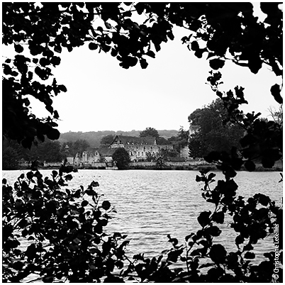 photographie d'un phnomne inexpliqu et mysterieux: un coeur se forme dans la vgtation autour du grand tang de l'abbaye de Mortemer © 2010 Christophe Letellier tous droits réservés.