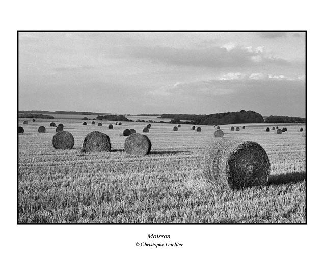 Photo noir et blanc de la galerie "Haute Normandie. La moisson , le d&eacute;fil&eacute; des balles de paille. &copy; Ao&ucirc;t 2002 Christophe Letellier, tous droits r&eacute;serv&eacute;s.