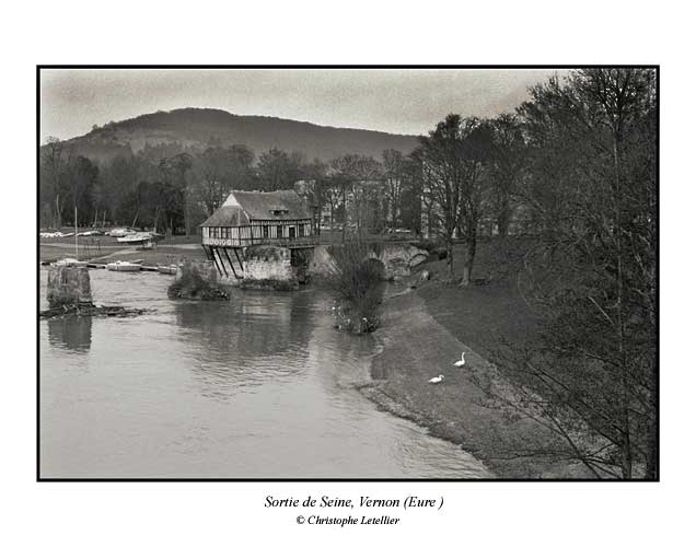 Photo noir et blanc de la galerie "Haute Normandie". Photo de cygnes, le vieux moulin, Vernon, Eure. &copy; F&eacute;vrier 2003 Christophe Letellier, tous droits r&eacute;serv&eacute;s.
