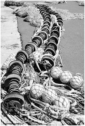 Photo noir et blanc « Le filet de pêche ». Sur le port de Port en Bessin, en Basse Normandie, dans le département du Calvados, les pêcheurs avaient étendu, pour séchage et vérification,  un filet de pêche, serpentant majestueusement sous les rayons du soleil. Après tout, il n’y a pas que les touristes qui aient le droit de faire une séance de bronzage sur les plages du Bessin ! © 2010 Christophe LETELLIER, tous droits réservés. Reproduction interdite sans autorisation préalable de l’auteur. Pour revenir à la galerie, cliquez sur la photo.