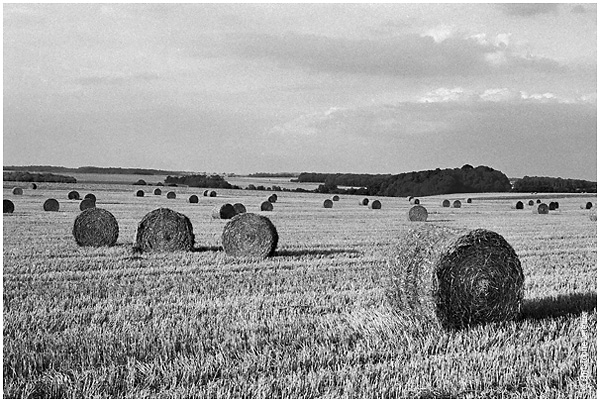 Photo noir et blanc de la galerie "Haute Normandie. La moisson , le défilé des balles de paille. © Août 2002 Christophe Letellier, tous droits réservés.Pour revenir à la galerie, cliquez sur la photo.