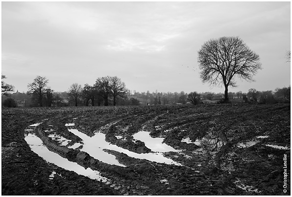 Plaine normande à l'automne après la récolte du maïs. © 2009 Christophe Letellier tous droits réservés. Pour revenir à la galerie, cliquez sur la photo.