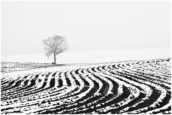 Photo noir et blanc &laquo; sillons sous la neige &raquo;. Lorsque la fonte des neiges s&rsquo;amorce, les plaines d&eacute;couvrent des sillons de cultures en esth&eacute;tiques vagues de neige. &copy; 2010 Christophe LETELLIER, tous droits r&eacute;serv&eacute;s. Reproduction interdite sans autorisation pr&eacute;alable de l&rsquo;auteur. Pour revenir &agrave; la galerie, cliquez sur la photo.
