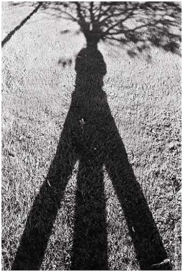 Photo noir et blanc de la galerie de portraits. Autoportrait  branch&eacute; de l'auteur. &copy; Octobre 2001 Christophe Letellier, tous droits r&eacute;serv&eacute;s.
