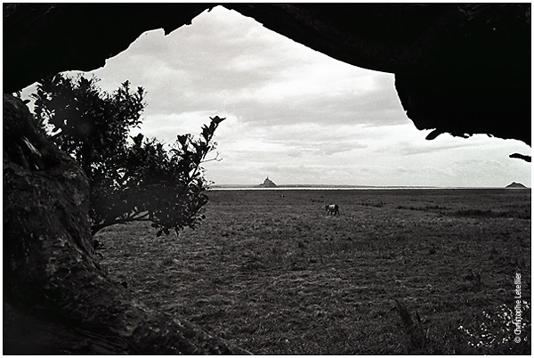 Photo noir et blanc de la galerie "Haute Normandie". Photo de cygnes, le vieux moulin, Vernon, Eure. © Février 2003 Christophe Letellier, tous droits réservés.Pour revenir à la galerie, cliquez sur la photo.