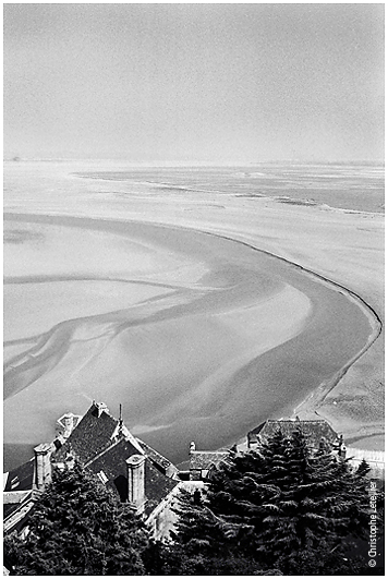 Photo noir et blanc de la galerie " Haute Normandie". Les forets mystérieuses de Normandie. © Octobre 2001 Christophe Letellier tous droits réservés. Pour revenir à la galerie, cliquez sur la photo.