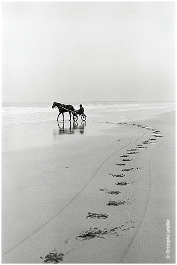 Photo noir et blanc de la galerie " La baie du Mont Saint Michel". Granville,le port de plaisance,la mise à l'eau des bateaux. © Août 2001 Christophe Letellier, tous droits réservés. Pour revenir à la galerie, cliquez sur la photo.