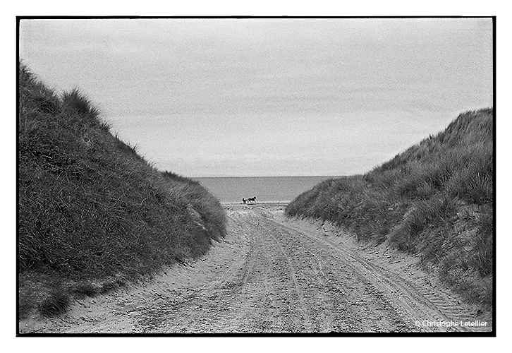 Photo en noir et blanc "le trotteur". Les longues plages de sable fin sont le terrain d'entrainement des chevaux de course bléssés, en réeducation.© 2012 Christophe Letellier tous droits réservés. Reproduction interdite sans autorisation préalable de l'auteur.