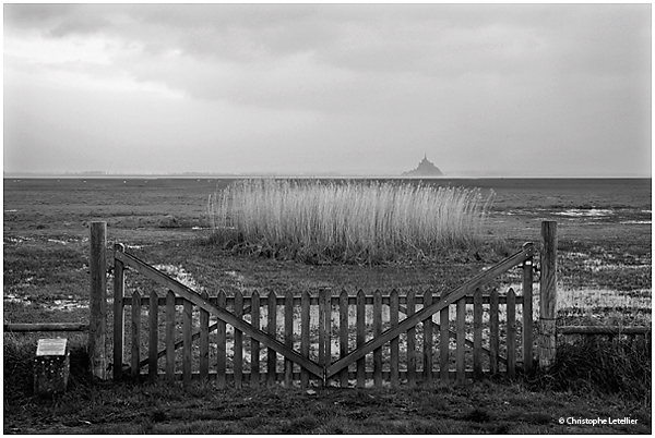 Photo noir et blanc « les prés salés de la Baie du Mont Saint Michel ». En remontant la cote, depuis la pointe du Grouin du Sud, de nombreux points d’observation de la Baie du Mont Saint Michel s’offrent à vous. Ici, un beau panorama de l’étendue des pâturages salés de la Baie.  © 2011 Christophe LETELLIER, tous droits réservés. Reproduction interdite sans autorisation préalable de l’auteur. Pour revenir à la galerie, cliquez sur la photo.