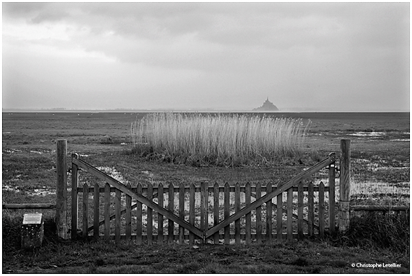 Photo noir et blanc « les prés salés de la Baie du Mont Saint Michel ». En remontant la cote, depuis la pointe du Grouin du Sud, de nombreux points d’observation de la Baie du Mont Saint Michel s’offrent à vous. Ici, un beau panorama de l’étendue des pâturages salés de la Baie.  © 2011 Christophe LETELLIER, tous droits réservés. Reproduction interdite sans autorisation préalable de l’auteur. Pour revenir à la galerie, cliquez sur la photo.