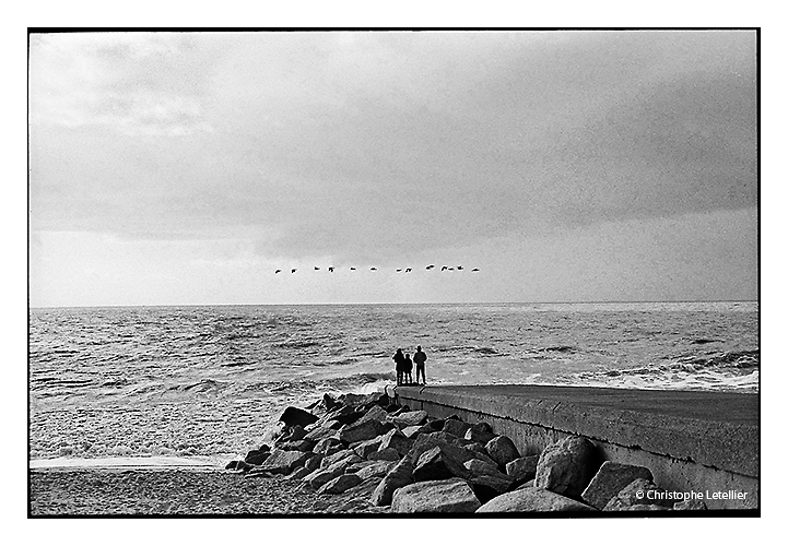 Photo noir et blanc de la plage de Saint MArtin de Breal dans le département de la Manche. Un vol de goeland passe au dessus d'une mer agitéepar la depression.© 2012 Christophe Letellier tous droits réservés. Reproduction interdite sans autorisation préalable de l'auteur.