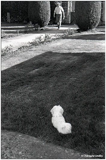 Photo noir et blanc d’un petit chien de race bichon maltais en position d’observation, montant la garde contre des visiteurs inopportuns qui s’introduiraient dans la demeure de ses maitres. © 2011 Christophe LETELLIER, tous droits réservés. Reproduction interdite sans autorisation préalable de l’auteur. Pour revenir à la galerie, cliquez sur la photo.