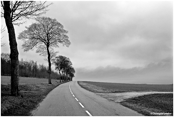 Photo noir et blanc d’une petite route départementale du département de la Somme, non loin d’Amiens. © 2011 Christophe LETELLIER, tous droits réservés. Reproduction interdite sans autorisation préalable de l’auteur. Pour revenir à la galerie, cliquez sur la photo.