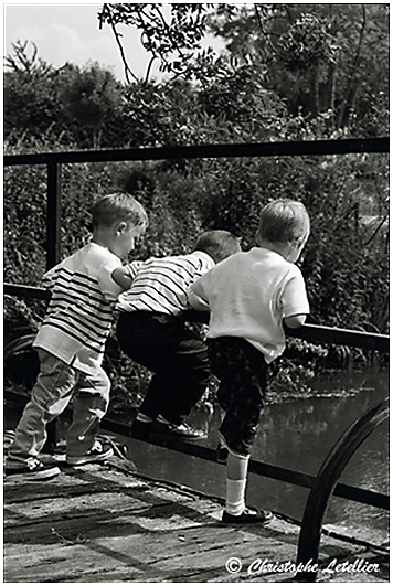 &copy; 1999 Christophe Letellier tous droits r&eacute;serv&eacute;s. Pour revenir &agrave; la galerie, cliquez sur la photo.