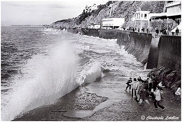 &copy; 2004 Christophe Letellier tous droits r&eacute;serv&eacute;s. Pour revenir &agrave; la galerie, cliquez sur la photo.