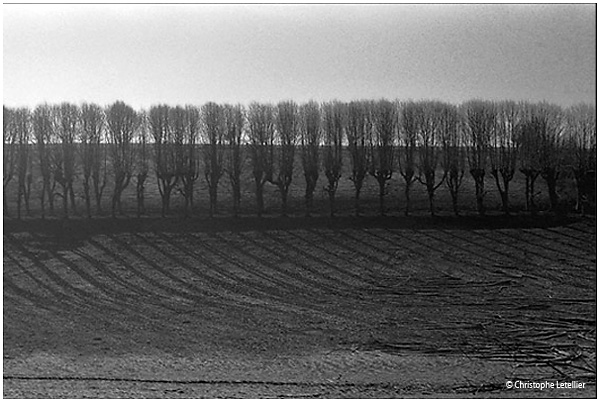 Photo noir et blanc de la galerie " Paysages branch�s".  Projection des rayons lumineux dans la plaine normande. � Janvier 2003 Christophe Letellier,tous droits r�serv�s. Pour revenir � la galerie, cliquez sur la photo.