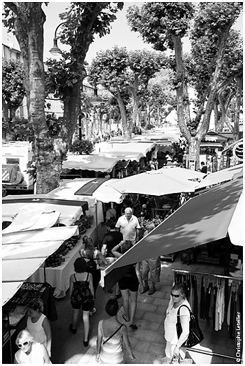 Riez-Le March&eacute;. &copy; juillet 2010 Christophe Letellier tous droits r&eacute;serv&eacute;s.