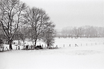 Normandie sous la neige