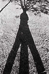 Autoportrait branch&eacute;