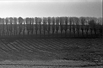 Ombres et lumi&egrave;re