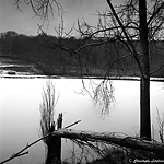 Etang gel&eacute; de Mortemer