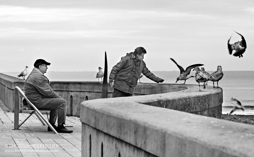 "LE PASSAGE DU GOIS". Photo noir et blanc du Gois, voie submersible qui relie le continent français à l'ile de Noirmoutier. © 2013 Christophe Letellier tous droits réservés. Pour revenir à la galerie, faites un clic-gauche sur la photo.