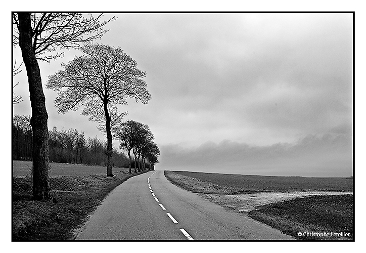 Photo noir et blanc d’une petite route départementale du département de la Somme, non loin d’Amiens. © 2011 Christophe LETELLIER, tous droits réservés. Reproduction interdite sans autorisation préalable de l’auteur. Pour revenir à la galerie, cliquez sur la photo.