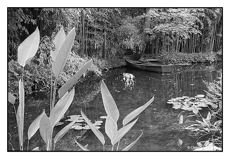 "ETANG AUX NENUPHARS". Photo noir et blanc du célèbre étang aux nénuphars, chez le peintre impressioniste Claude Monet © août 2012 Christophe Letellier tous droits réservés. Pour revenir à la galerie, faites un clic-gauche sur la photo.