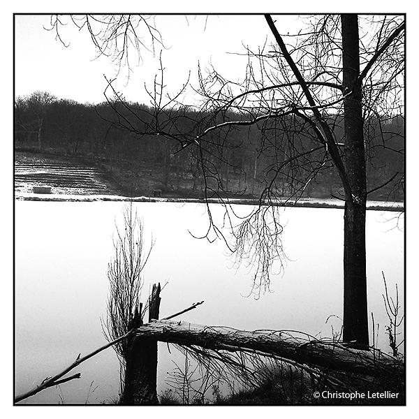 "ETANG GELE DE L'ABBAYE DE MORTEMER". Photo en noir et blanc 6x6 de l'étang gelé de l'Abbaye de Mortemer, au coeur de la forêt domaniale de Lyons, près de LISORS en Haute-Normandie. © 2006 Christophe Letellier tous droits réservés. Reproduction interdite sans autorisation préalable de l'auteur. Pour revenir à la galerie, faire un clic-gauche sur la photo.