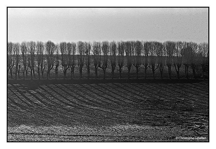 Photo noir et blanc de la galerie " Paysages branchés".  Projection des rayons lumineux dans la plaine normande. © Janvier 2003 Christophe Letellier,tous droits réservés. Pour revenir à la galerie, cliquez sur la photo.