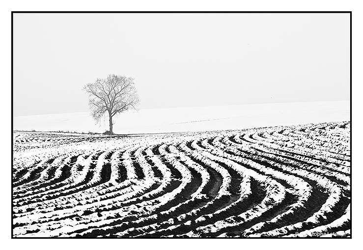 Photo noir et blanc « sillons sous la neige ». Lorsque la fonte des neiges s’amorce, les plaines découvrent des sillons de cultures en esthétiques vagues de neige. © 2010 Christophe LETELLIER, tous droits réservés. Reproduction interdite sans autorisation préalable de l’auteur. Pour revenir à la galerie, cliquez sur la photo.